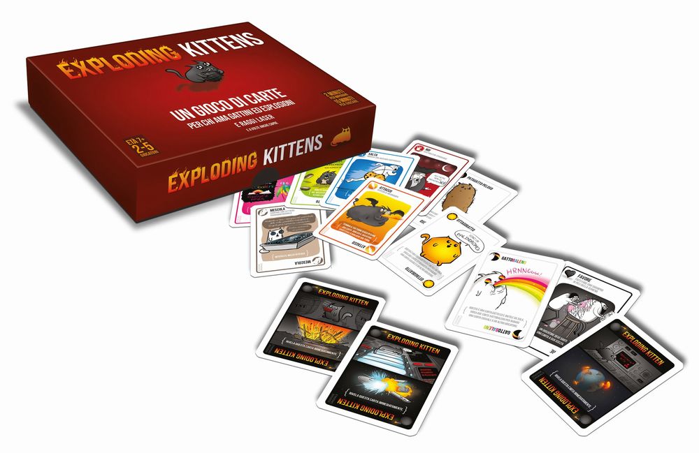 expl kittens setup